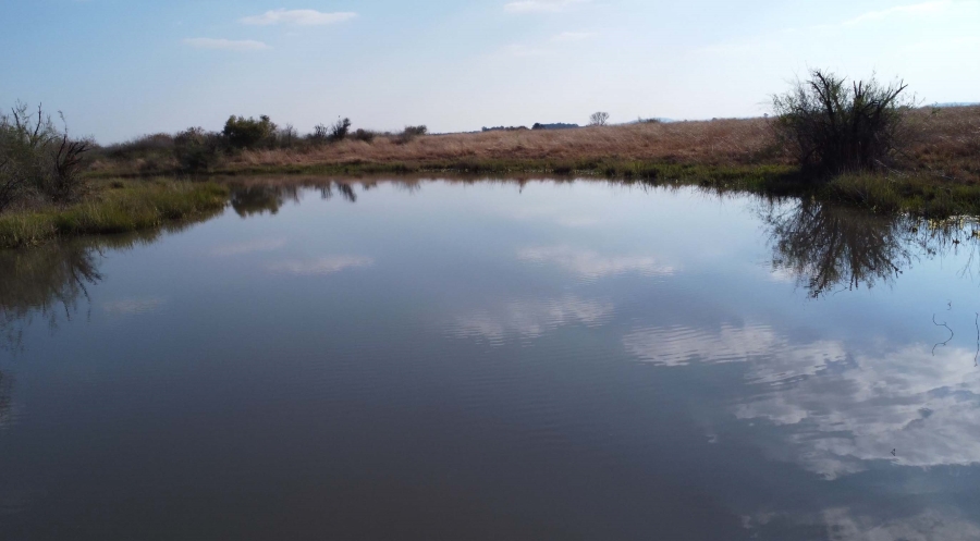 0 Bedroom Property for Sale in Koppies Rural Free State